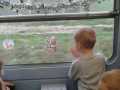 IMG-20191213-WA0010