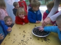 Image00030