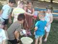 viber_slika_2021-07-09_12-42-13-313