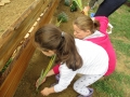 Image00062